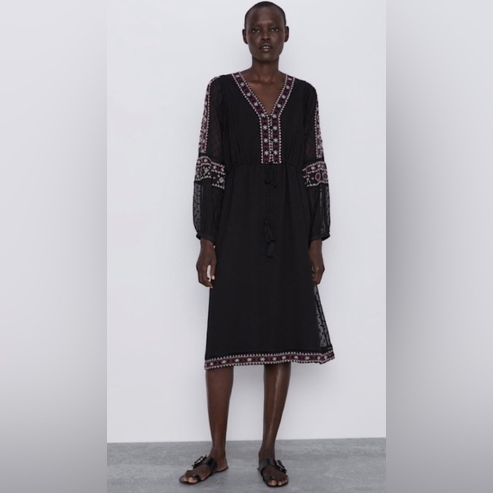 Gorgeous Zara midi dot mesh dress embroidered with sheer sleeves